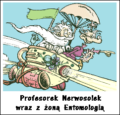 Profesorek Nerwosolek wraz z żoną Entomologią