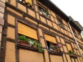 Strasbourg2 06.jpg