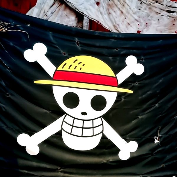 Plik:Straw Hat Pirates' Jolly Roger.jpg