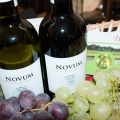 Wino Novum.jpg