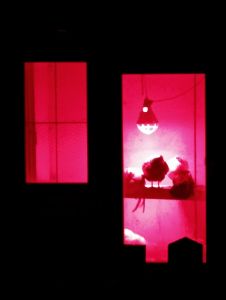 Austriacy w burdelach trzymają nie kurwy, tylko kury.